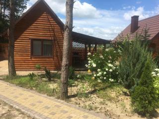 Відпочинок в дерев'яному будиночку на озері с. Соловичі - фото