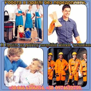 Працевлаштування в Ізраїлї для чоловіків, жінок, сімейних пар без передоплати за роботу в Україні(безвізовий режим).
