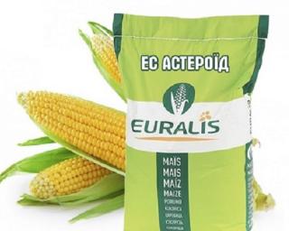 Продам насіння кукурудзи Астероїд ЄС Євраліс - фото
