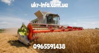 Услуги по уборке урожая комбайнами зерновых, рапса, подсолнечника, кукурузы, сои - фото