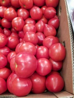 Огірки, помідори - фото
