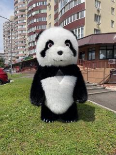 Костюм ведмедя надувний Панда - фото
