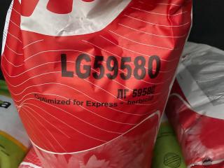 Насіння соняшника Limagrain, Lidea, Syngenta