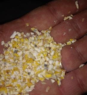 Зерновідходи, побічний продукт з кукурудзи - фото