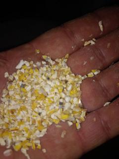 Зерновідходи та побічні продукти з кукурудзи - фото