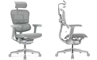 Новейшее кресло для игроков Ergohuman Luxury 2 - фото