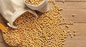 Закуповую половинки сої та відходи кукурудзи - фото