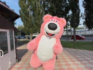 Медведь костюм - фото