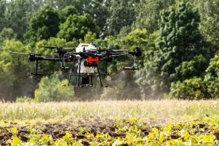 Предуборочная обработка сои кукурузы подсолнечника дронами - фото
