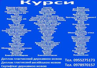 Диплом пластиковий державною і англійською мовою та сертифікат - фото