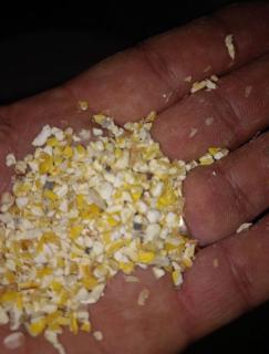 Зерновідходи та побічний продукт кукурудзи - фото