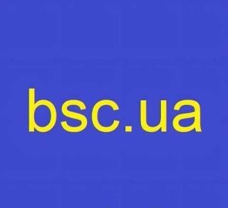 Домен, доменне ім'я, доменное имя, торгова марка bsc. ua - фото