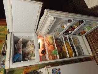 Продам холодильник Індезіт - фото