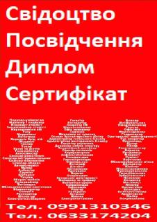 Диплом, сертифікат, свідоцтво, посвідчення - фото
