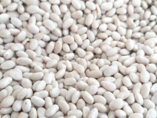 Продаємо квасолю з доставкою - фото